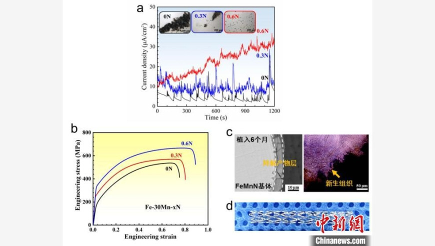 中国科研团队创新成果：成功研发出生物可降解薄壁血管支架