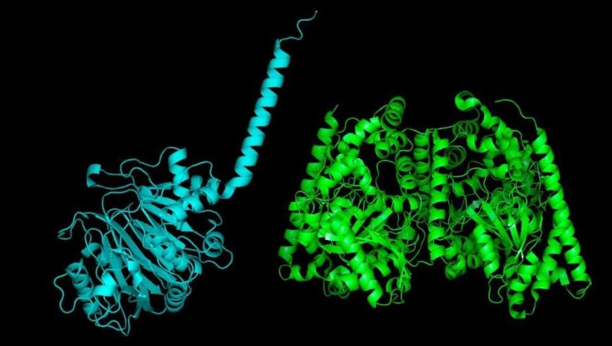 《科学》：有效促进儿童生长发育的关键——益生菌的神奇贡献