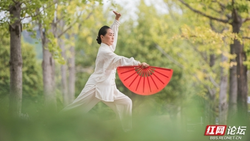 麻阳秋天美景，孩子们热烈探索银杏树下的秋色世界