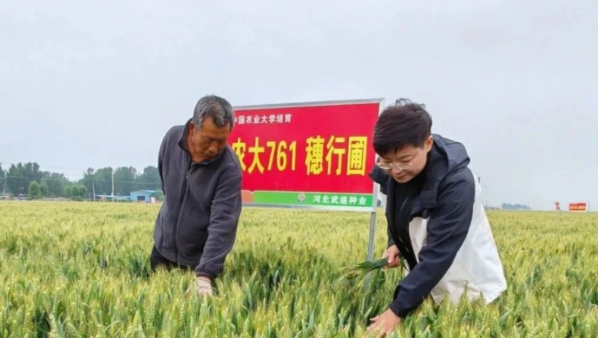 新一代农业技术：利用天气数据精确管理‘博士农场’