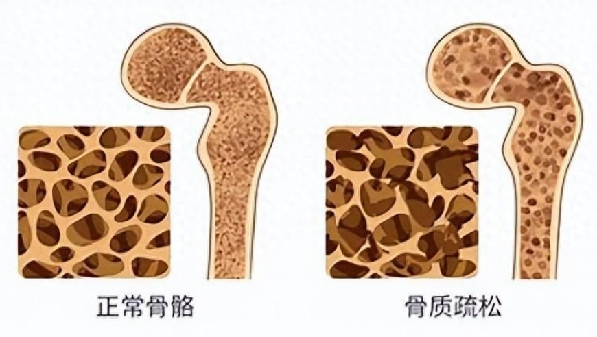 病人有权决定自己的健康之路：中药无效为何还应继续抵抗?