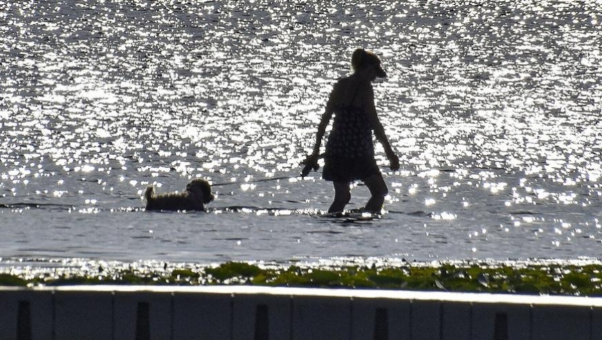 全球范围内的夏季高温增加影响全球经济，造成约8350亿美元的潜在损失报告发布