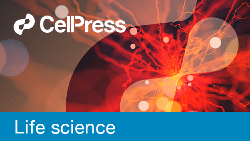 动物也会喝醉酒：Cell Press发布最新科研发现，揭示了生物体中酒精代谢的新机制