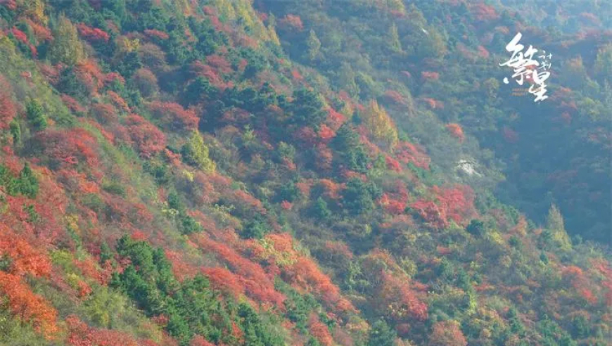 秋天来了，秦岭红叶谷的美景令人窒息！只需公交到达，无需门票！