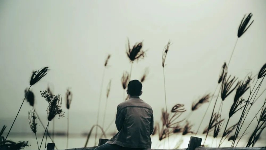 经历人生风雨，终成人生赢家——为何人到中年后才渐有好运？