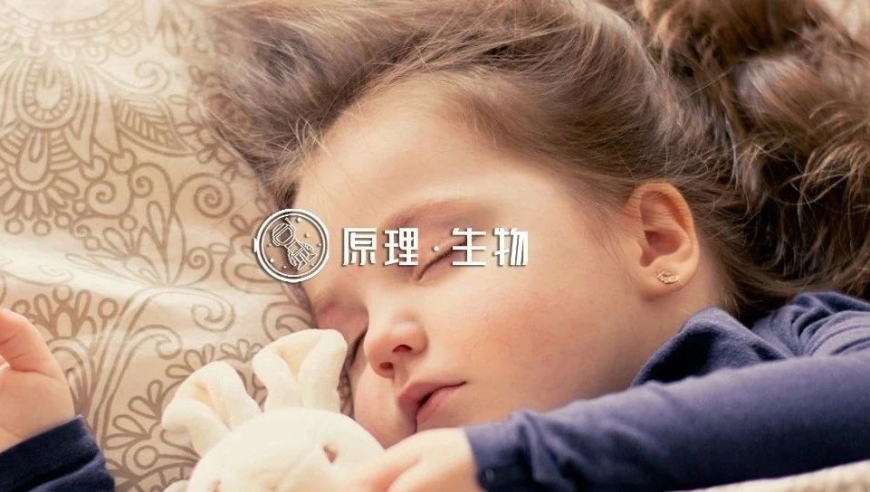 睡前保证充足睡眠，让心脏保持健康状态