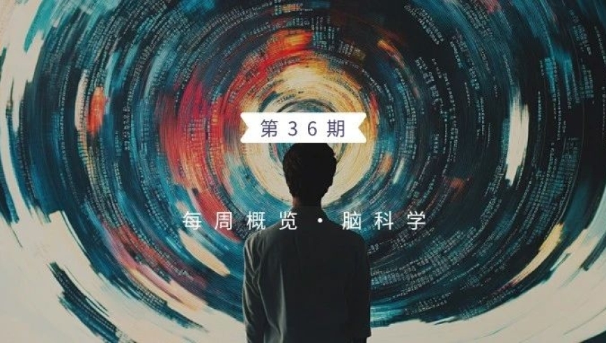 每周追踪：过去一周脑科学领域的重大发现及其影响
脑科学新闻精选：过去一周的研究热点及影响解析
每日更新：最新脑科学研究进展与影响展望
深度解读：过去一周脑科学领域的重大突破与思考
每周动态：最新的脑科学研究成果与未来发展
关注大脑：本周脑科学领域的重大发现与影响分析
深度探索：过去一周脑科学领域的前沿研究动态