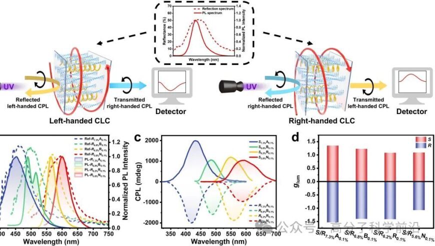 北京化工大学邓建平团队揭示AM器件中手性传递与放大现象，全色圆偏振发光展示立体生物学研究新成果