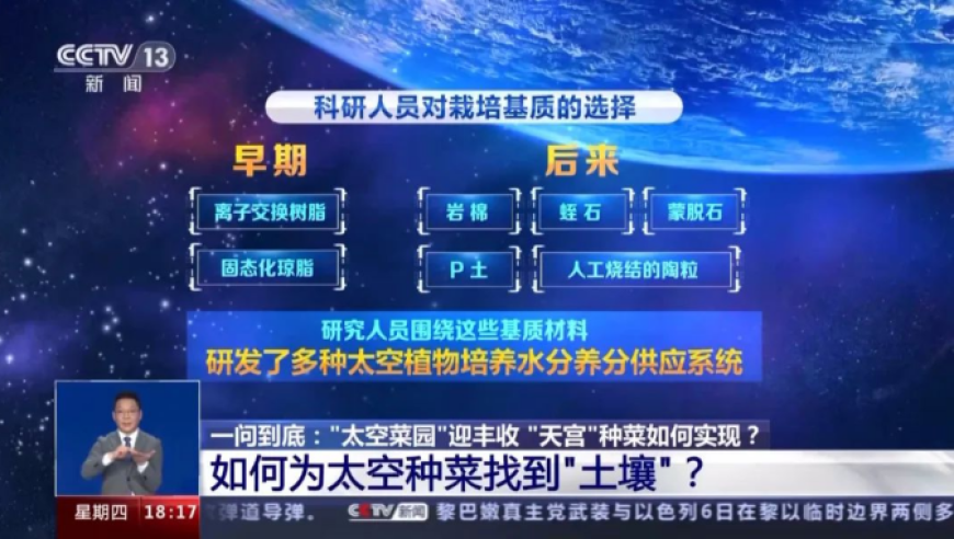 如何在太空中种植红薯：一份从起点到终点的科学挑战指南