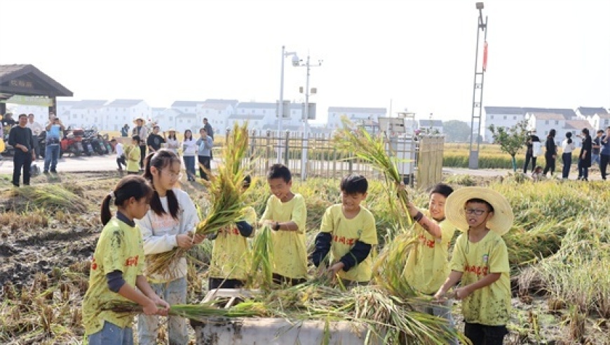 无锡鸿山：生动活泼的田间课堂，让孩子在知识海洋中畅游