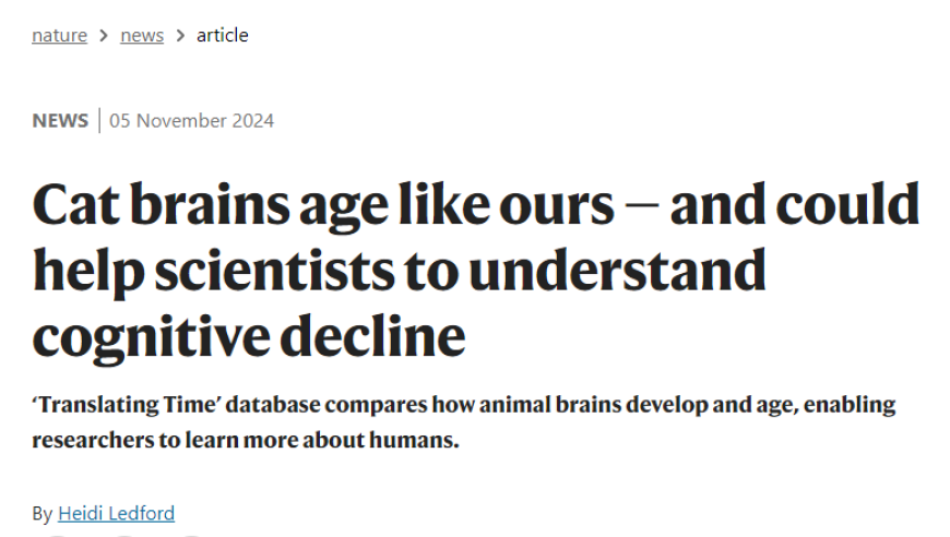 猫的大脑：为何成为研究老年痴呆的理想模型?