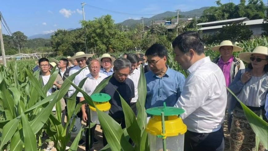 应对全球范围的农产品重大病虫害，中国积极开展跨境联合防控工作