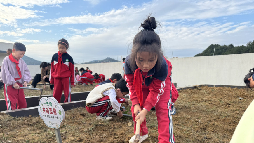 空中菜园开园啦！孩子们的辛勤劳动带来了无尽的丰收希望