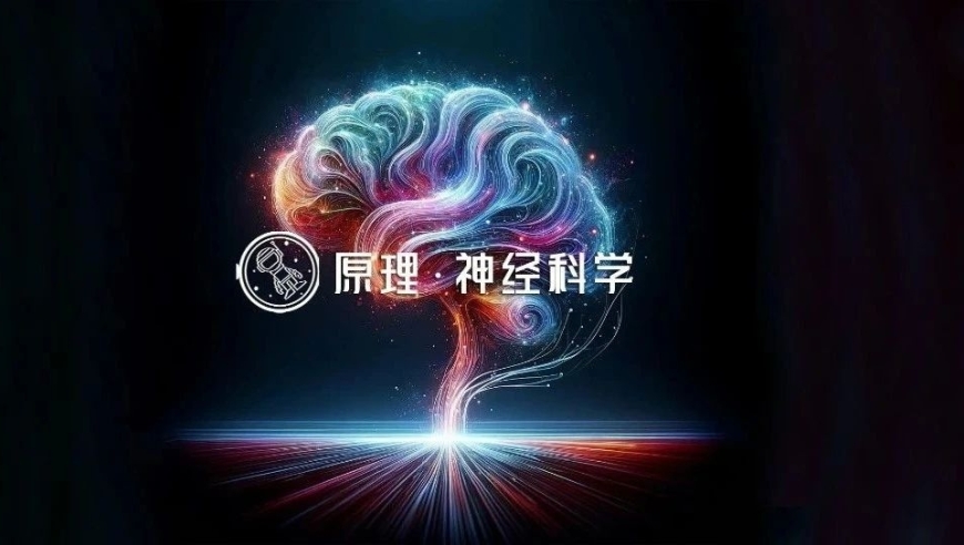 重新定义记忆：互联网信息的智能筛选与整合\n通过大数据和人工智能，我们的大脑实现了高效、精准的记忆整理\n互联网上海量的信息，为我们提供了无尽的知识资源\n只要学会筛选和利用，就能将知识转化为自己的智慧\n让我们用科技的力量，打造更强大的学习能力