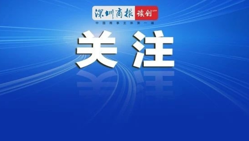 辛巴遭实名举报：官方回应网络谣言的最新动态