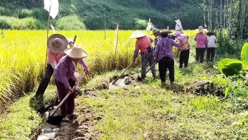 应对气候变化：农村发展方向及非政府组织的贡献

NGO在推动农村低碳转型中的角色与贡献