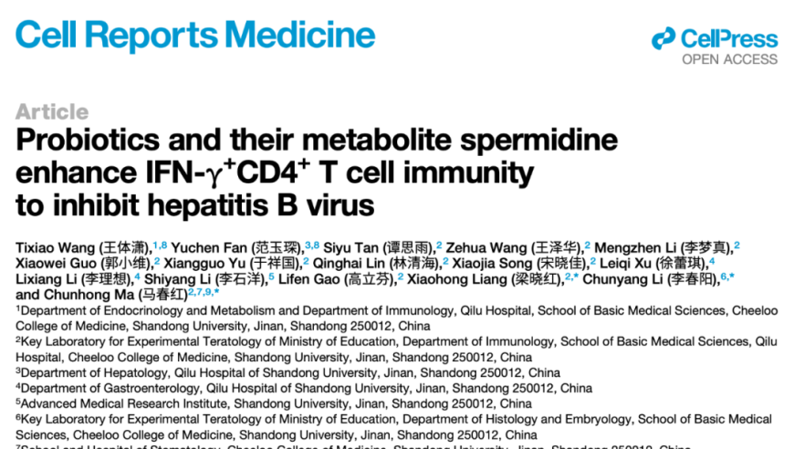 山东大学细胞子刊揭示益生菌及代谢产物亚精胺对HBV清除的作用机制