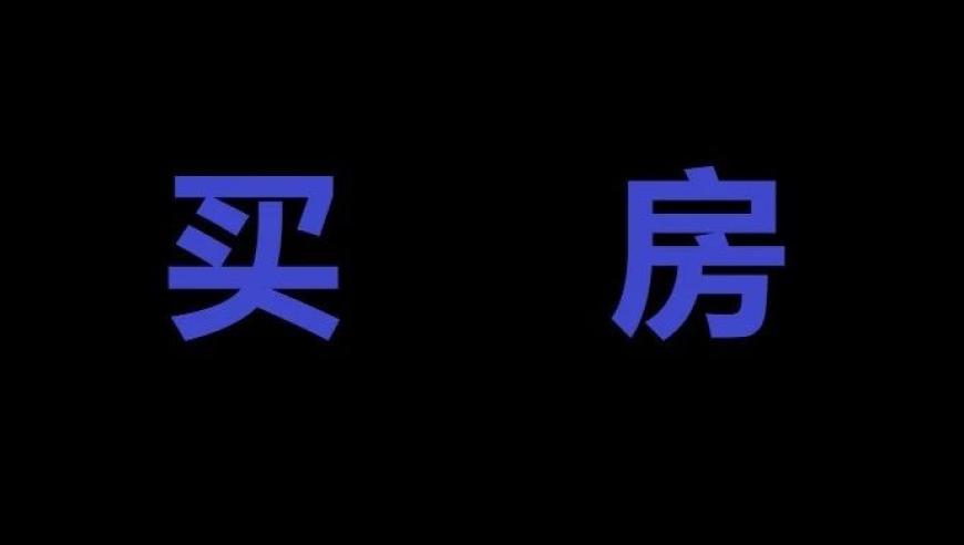 祥生集团未能登陆资本市场的原因分析