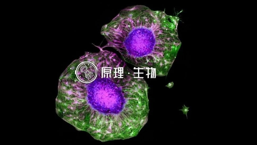 掌握一项新的科学研究：运动的多面益处！