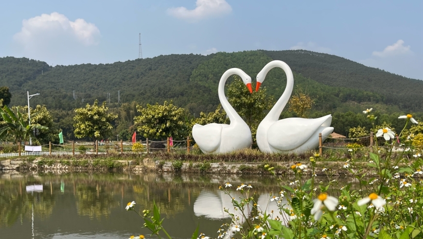 佛山高明乡村美景——新晋网红打卡地！