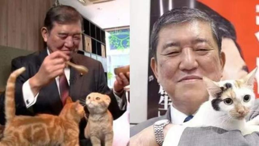 石破茂的神奇一夜：从宅男猫奴到日本首相的逆袭