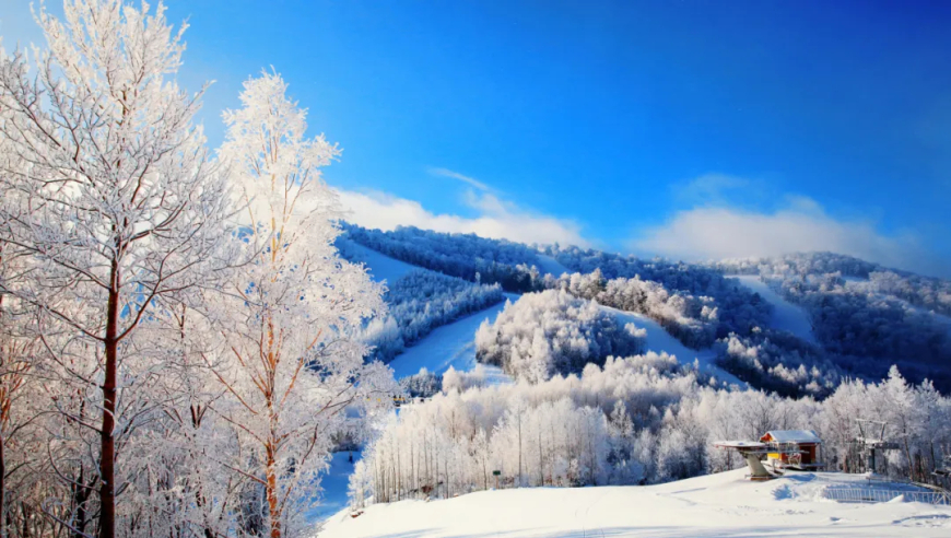 喜讯连连！我们省的4个热门冰雪旅游目的地均榜上有名！