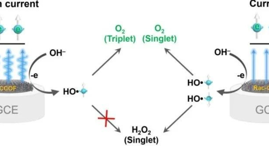 手性共价有机框架：作用于自旋依赖催化电化学析氧的新型技术\n\nNSR论文详细探讨了使用手性共价有机框架进行自旋依赖催化电化学分析氧的过程，并提供了实验证据。这将为我们提供一种新的、更有效的方法来进行这种类型的氧化反应。这项研究不仅对工业界有着重要的影响，也为未来的研究和开发提供了新的视角和思路。\n\n通过深入了解手性共价有机框架的作用机制，我们可以更好地理解这些系统在实际应用中的优势和限制。此外，我们的工作还可能打开新的研究领域，例如探索其他类型的共价结构如何应用于催化电化学过程，以及这些结构对电子性质的影响。\n\n总的来说，我们希望通过本研究的结果，能够推动相关领域的技术进步和发展，并为实际工业生产和科学研究提供有益的参考和启示。\n\n