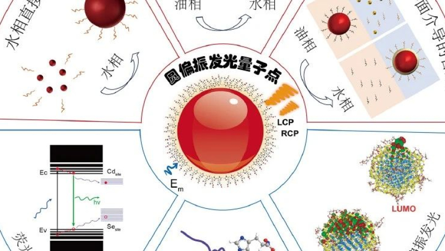 光学中的圆偏振发光无机量子点：合成策略与发光机制解析