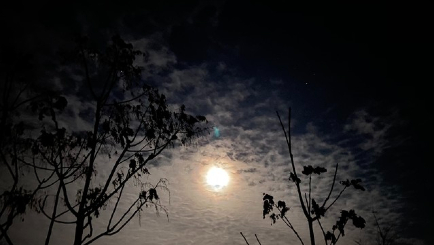 十月十六：三个特别的节日及相关传说

秋意浓时十月十六，特殊的节日及其深厚的文化内涵