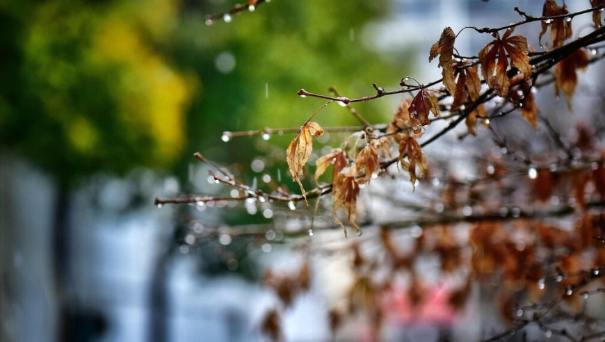 看十月十七的天气如何，降雨如何解释？”