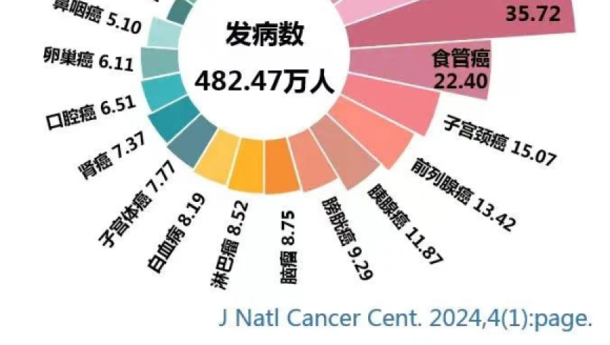 国际肺癌日：认识肺结节，关注肺部健康