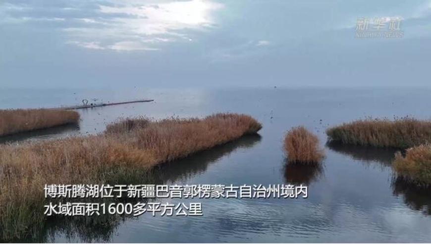 中国内陆最大淡水湖群鸟栖息地，静待您的探索之旅！