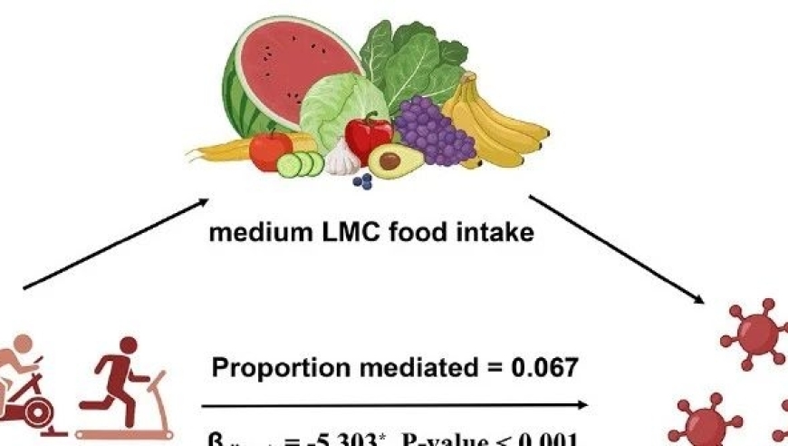 清华大学团队揭示：健康饮食与适度锻炼，可有效降低全身炎症风险