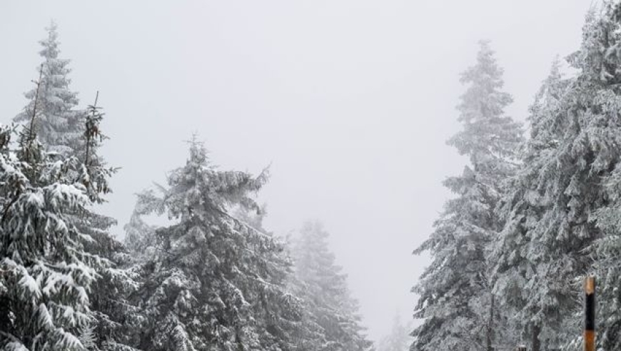 今日小雪未来数天寒潮将自西向东侵袭我国，需关注防范和应对措施