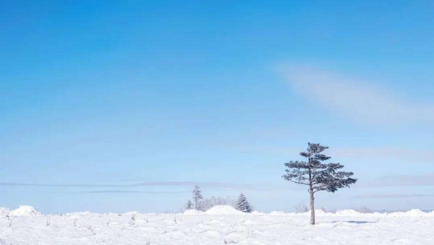 苏轼雪夜独酌的诗情画意——探寻总有一场雪，为你而来的主题精髓