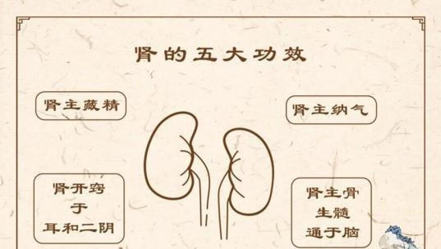 冬季养肾：防止久坐、熬夜的五个关键习惯

优化后：
冬季养肾：防止久坐、熬夜的五大重要注意事项，让你健康过冬