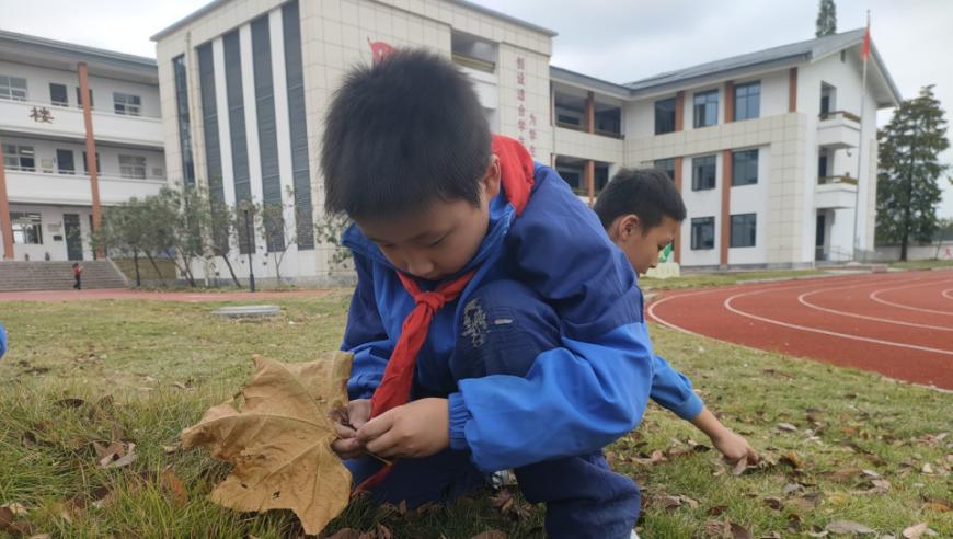 叶韵匠心：孩子以树叶描绘的校园之光