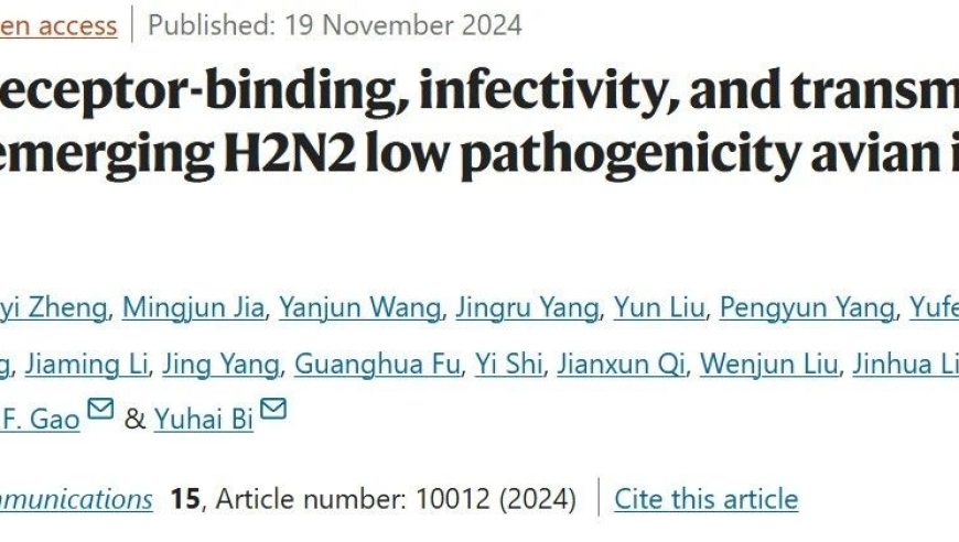 【前沿速递】毕玉海团队与高福院士团队解析H2N2流感病毒的跨种传播机制及其潜在风险