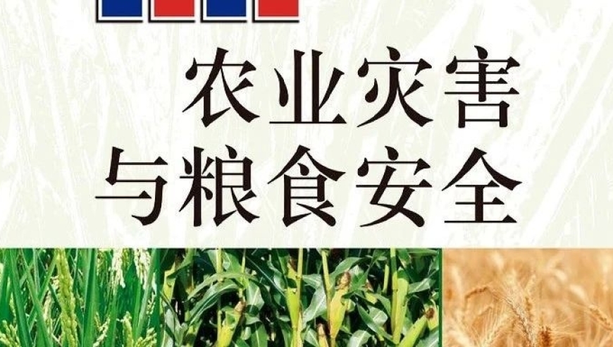 京师粮食安全团队：农业灾害与粮食安全：影响评价与应对策略的深度分析