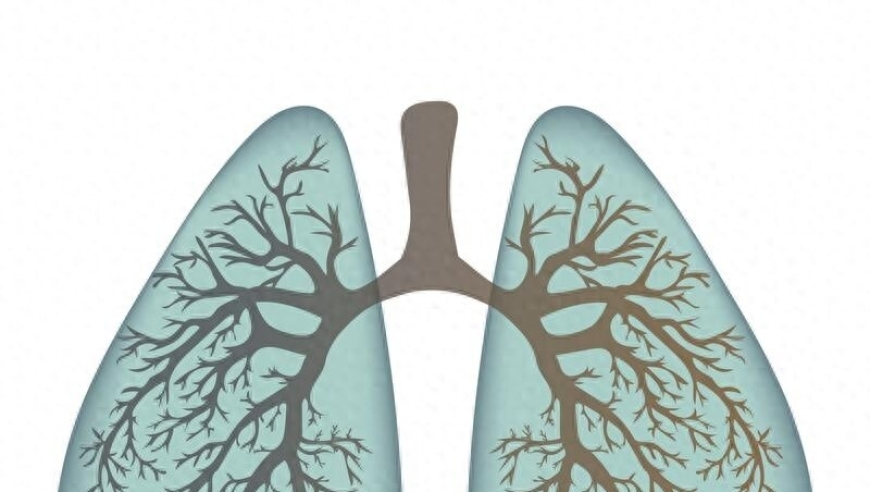 12个常见症状，警惕肺气肿的危险信号，快来了解如何识别和治疗