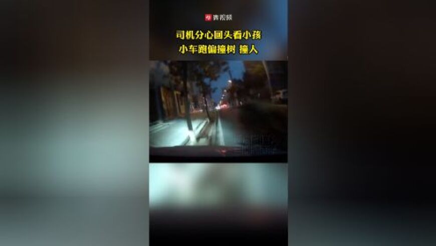 孩子呼唤爸爸，司机突然撞树导致人身事故