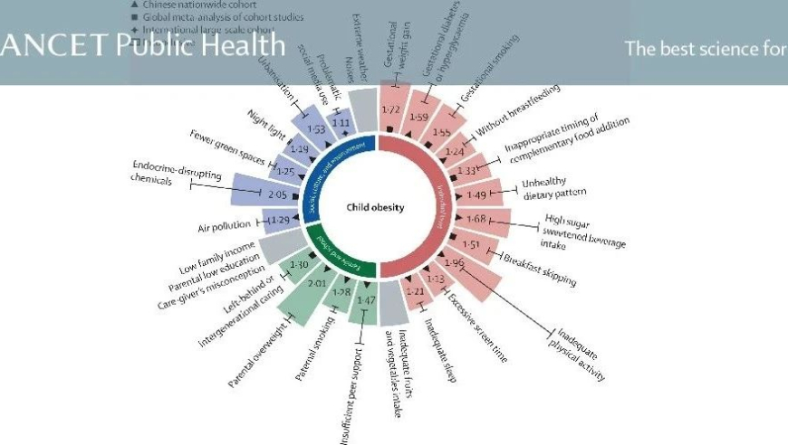 深度解析：中国儿童青少年肥胖现象的现状与挑战——全方位分析影响因素