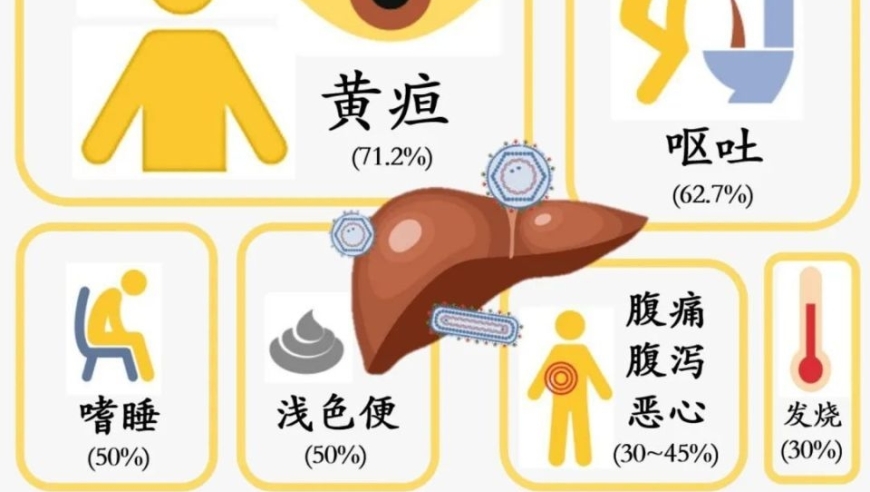 揭示肝硬化的四大早期预警信号，掌握应对策略