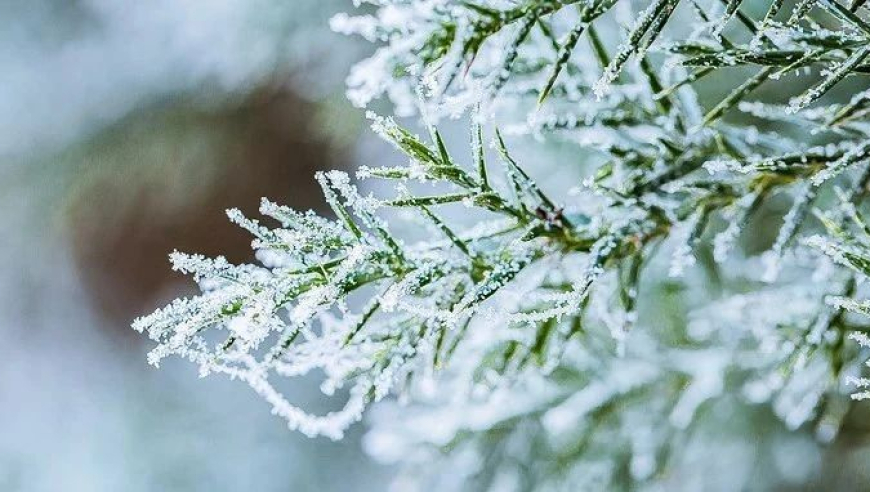 预防寒潮和雨雪天气，这4类人群需要特别注意防护