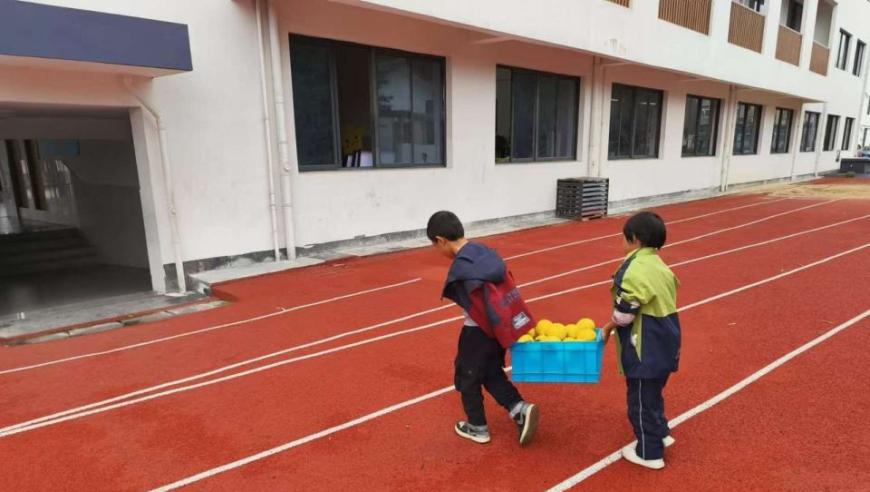 适地而动，个性化打造胡柚节：一所小学的生动实践探索教育新方向