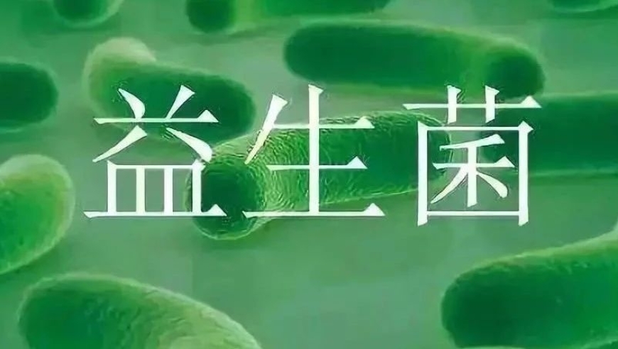 消化道中的益生菌：胃部存活的神秘力量