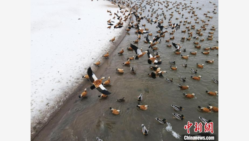 吉林松花江千鸟飞跃：冰雪奇观，美景如画