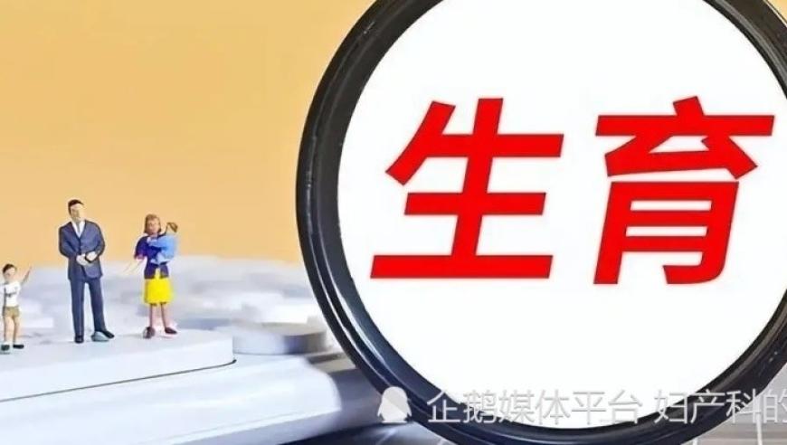 专家观点：孕育期对女性智力提升至关重要