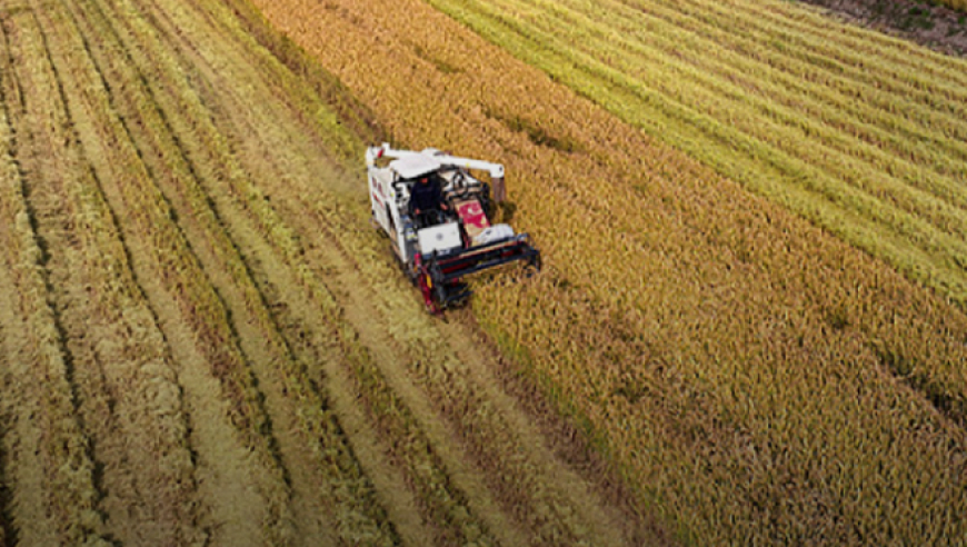 国家粮食行动方案背后的秘密：粮食自给率95%且一年仅浪费约4.6亿吨的食物

详尽解析：我国粮食自给率高达95%，一年食物浪费量仅达4.6亿吨，背后的深度解读与启示