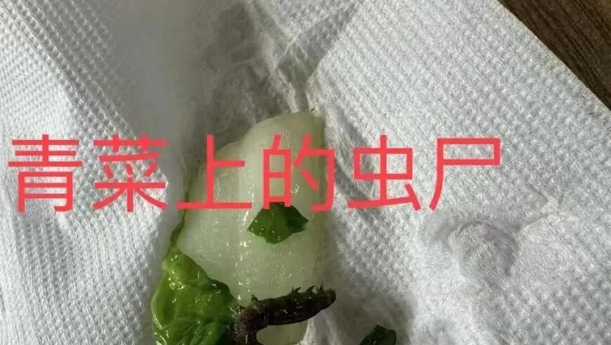 上海知名中学食堂疑藏蜗牛与臭香肠：亟需校园食品安全整治，家长的投诉并非唯一途径